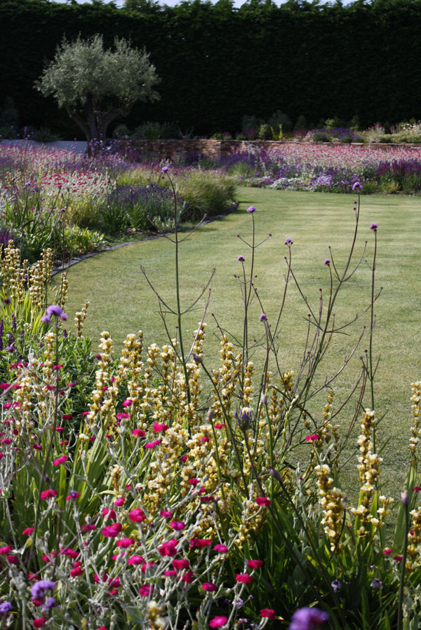 Private Garden, Cornwall, image 7