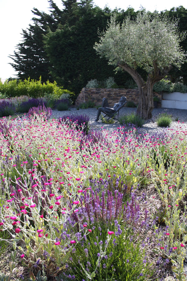 Private Garden, Cornwall, image 4