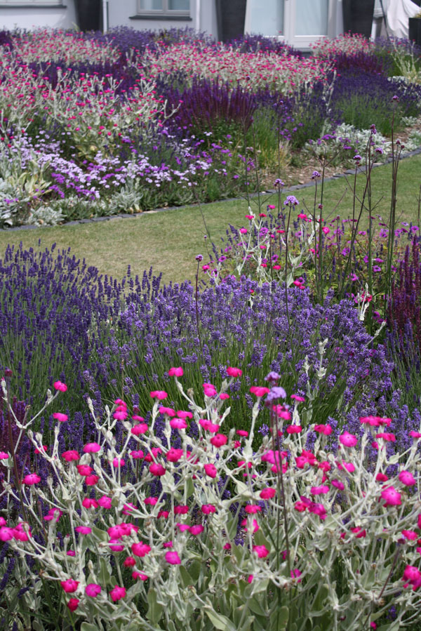 Private Garden, Cornwall, image 5