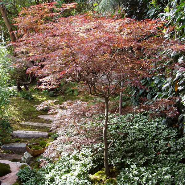 Private Garden, Surrey, image 10