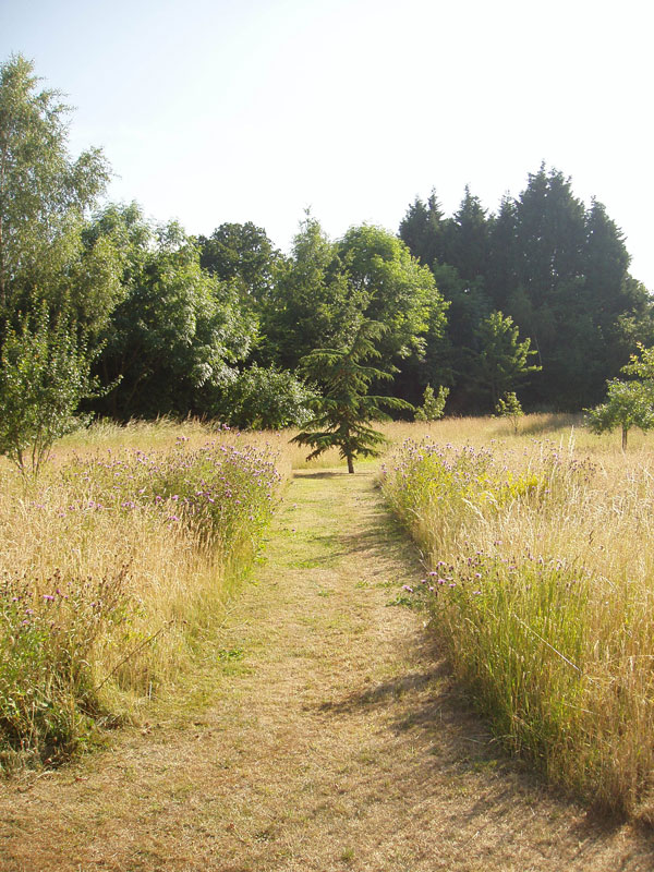 Private Garden, Surrey, image 8