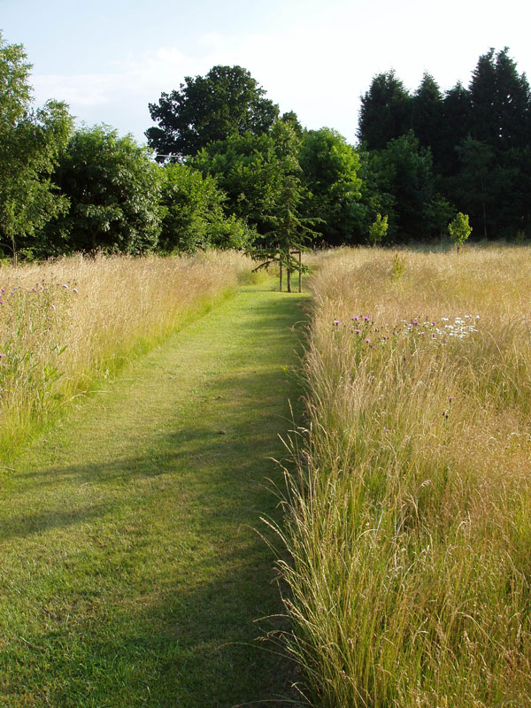 Private Garden, Surrey, image 9